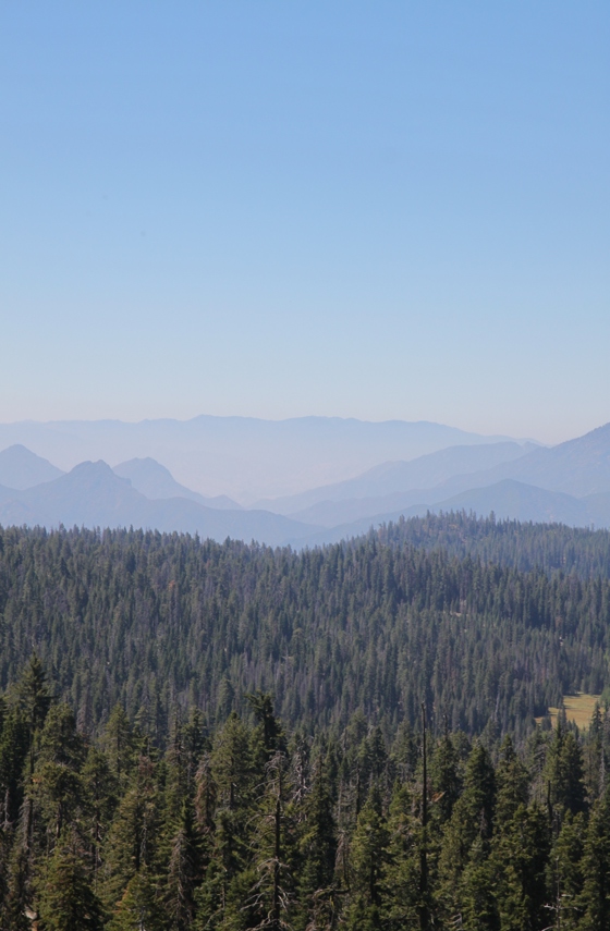 Sequoia National Forest